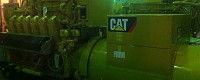 IMG_1228